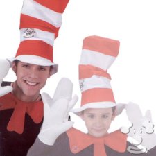 Dr. Seuss Cat in the Hat adult costume accessory kit